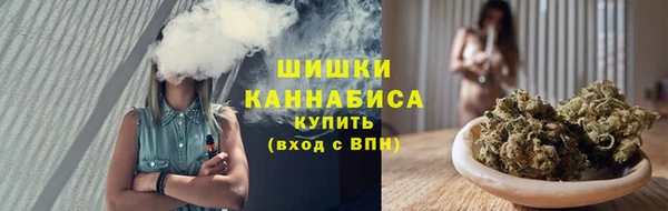 дживик Гусиноозёрск