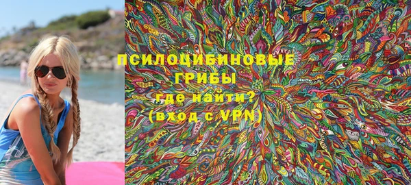 дживик Гусиноозёрск