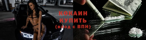 jwh Гусев