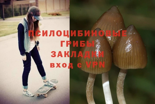 метамфетамин Гусь-Хрустальный