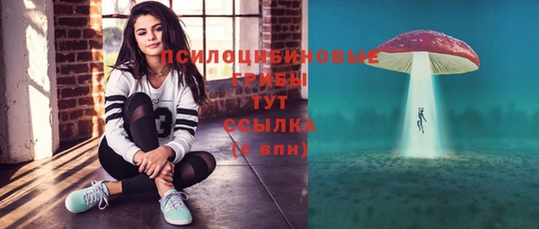 метамфетамин Гусь-Хрустальный