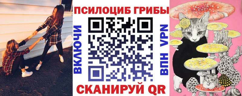 наркота  Меленки  Галлюциногенные грибы MAGIC MUSHROOMS 